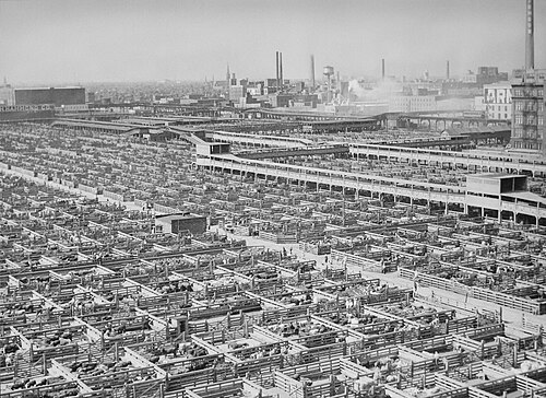 Chicago Union Stock Yards